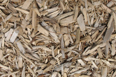 biomass boilers Corley Ash
